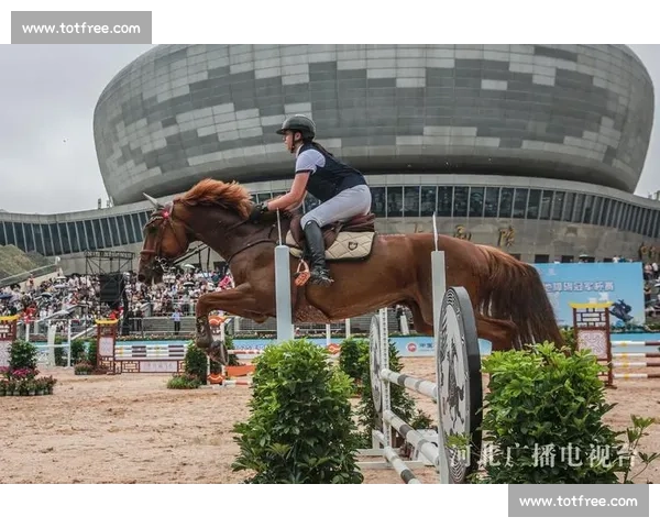 中国马术冠军杯赛邯郸站燃情启幕 顶级赛事点亮古城