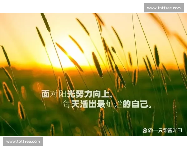 每一次的闪耀，都是电竞新星不懈努力的回报