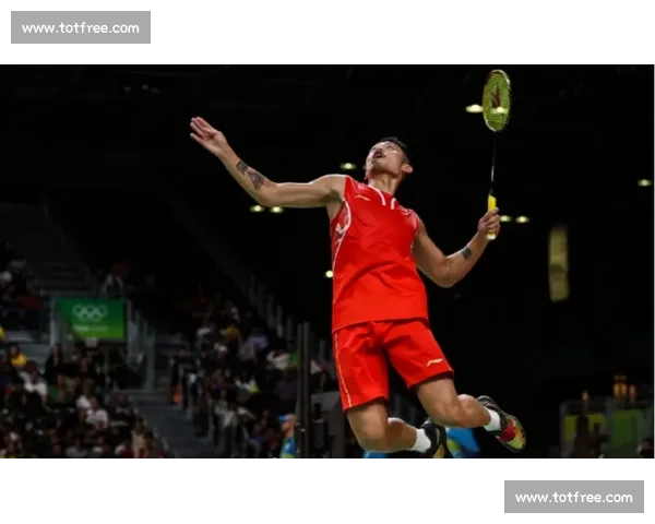 球迷必看！解析林丹谌龙的网前技术统计差异！