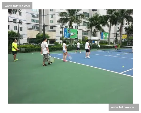 从数据看时代变迁，网球器材革新如何影响比赛风格